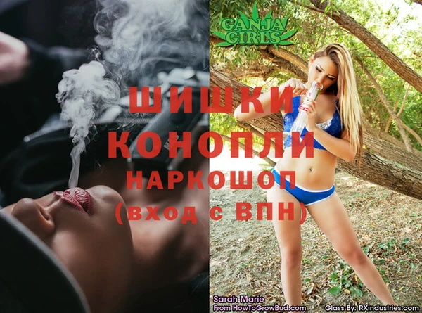 соль ск Алексин