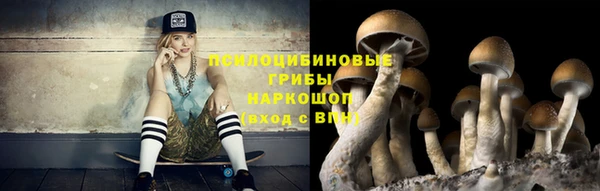 круглые Алексеевка
